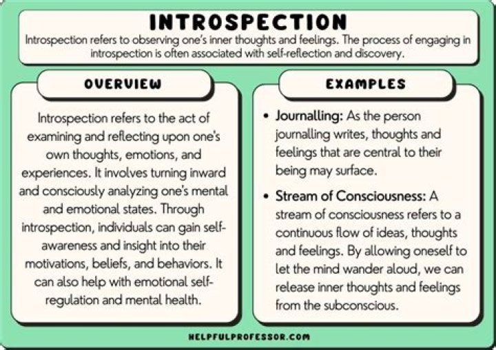 A Journey Of Introspection And Melodious Delights